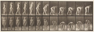 Placa 204. Deteniéndose para recoger la pelota de Eadweard Muybridge