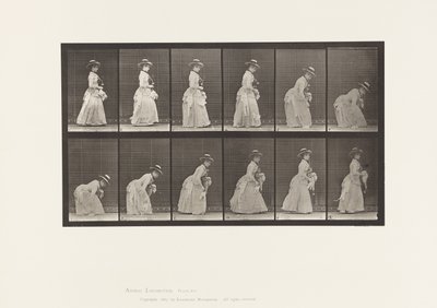 Placa 211. Agachándose y Levantando un Pañuelo; Parasol en la Mano Izquierda, 1885 de Eadweard Muybridge