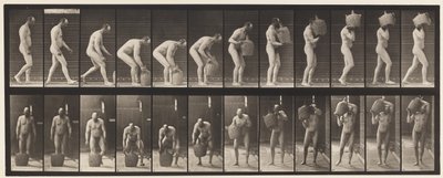 Placa 218. Agachándose y levantando una damajuana llena al hombro de Eadweard Muybridge