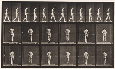 Placa 21. Caminando, ambos codos doblados de Eadweard Muybridge