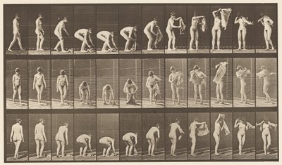 Placa 227. Levantando tela del suelo, 1872-1885 de Eadweard Muybridge