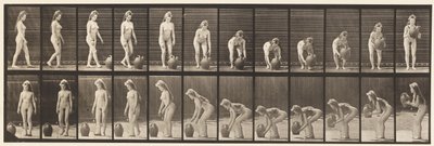 Placa 228. Girando y Levantando Jarra de Agua del Suelo de Eadweard Muybridge