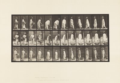 Placa 229. Colocando la Cesta en el Suelo y Girando de Eadweard Muybridge
