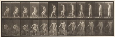 Placa 236. Colocando silla y sentándose, 1885 de Eadweard Muybridge