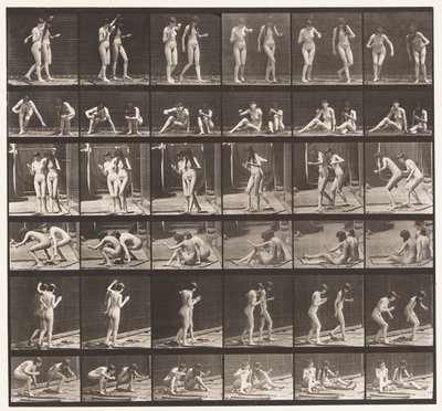 Placa 245. Dos Modelos Girando Sentados en el Suelo de Eadweard Muybridge