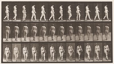 Placa 24. Caminando, con zapatos de tacón alto de Eadweard Muybridge
