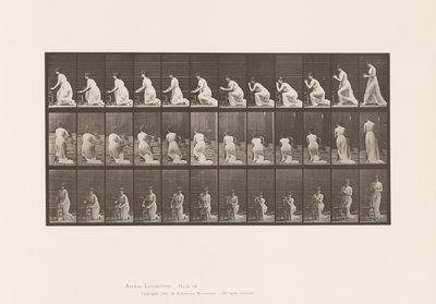 Placa 253. Arrodillado con los Codos en la Silla, Manos Juntas, 1885 de Eadweard Muybridge
