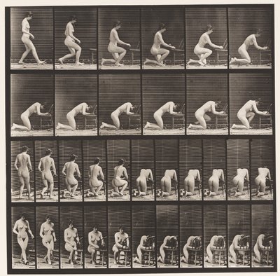 Placa 254. Arrodillándose, codos en la silla, manos entrelazadas de Eadweard Muybridge