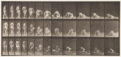 Placa 256. Acostado en el suelo y leyendo, 1872-1885 de Eadweard Muybridge