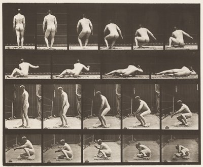 Placa 257. Acostado en el suelo, 1885 de Eadweard Muybridge