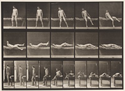 Placa 259. Acostado en un sofá y girando de lado de Eadweard Muybridge