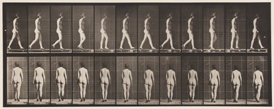 Placa 25. Caminando, con zapatos de tacón alto de Eadweard Muybridge