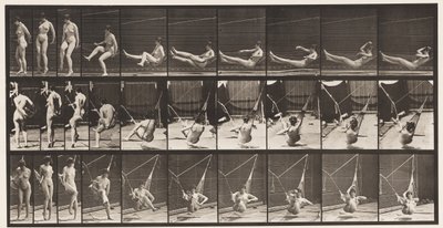 Placa 261. Entrando en la hamaca, 1872-1885 de Eadweard Muybridge