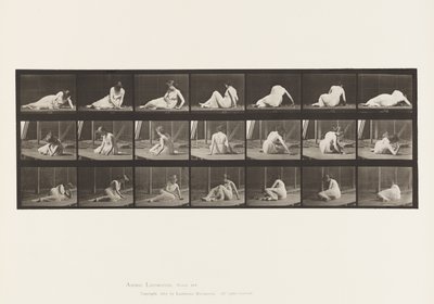 Placa 267. Girando y cambiando de posición en el suelo, 1885 de Eadweard Muybridge