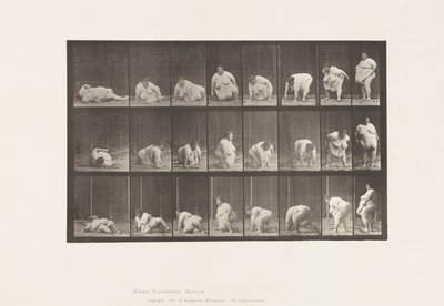 Placa 268. Levantándose del suelo de Eadweard Muybridge