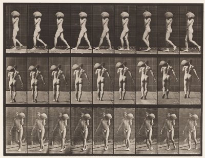 Placa 26. Caminando, Cargando Piedra de 75 libras en el Hombro Izquierdo de Eadweard Muybridge