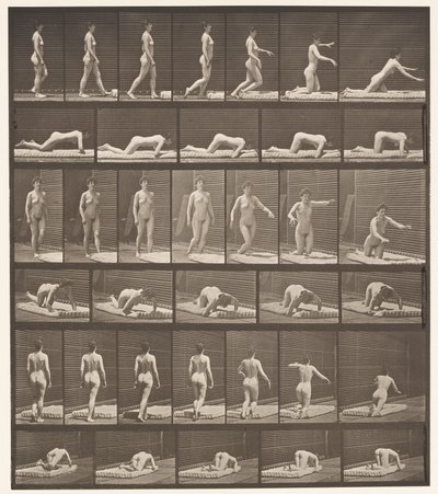 Placa 272. Tropezando y Cayendo al Suelo de Eadweard Muybridge