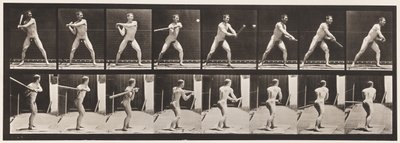 Placa 279. Béisbol; bateando, 1885 de Eadweard Muybridge
