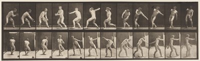 Placa 284. Béisbol; atrapando y lanzando, 1885 de Eadweard Muybridge
