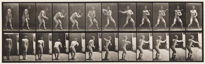 Placa 285. Béisbol; atrapando y lanzando de Eadweard Muybridge