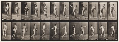 Placa 289. Cricket; lanzamiento de brazo redondo de Eadweard Muybridge