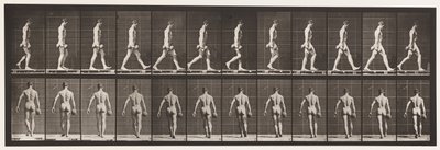 Placa 28. Caminando, llevando una pesa de 50 lb en la mano derecha, 1872-1885 de Eadweard Muybridge