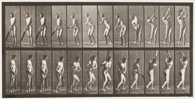 Placa 291. Críquet; bateando; drive, 1885 de Eadweard Muybridge