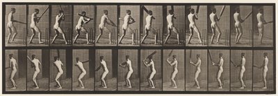 Placa 292. Críquet; bateando; espalda afuera, 1885 de Eadweard Muybridge