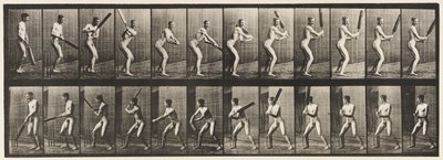 Placa 293. Cricket; bateo; corte trasero de Eadweard Muybridge