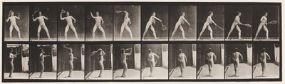 Placa 294. Tenis en Césped; Sirviendo de Eadweard Muybridge