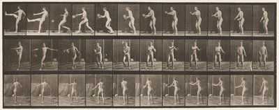 Placa 301. Fútbol; Punt, 1885 de Eadweard Muybridge