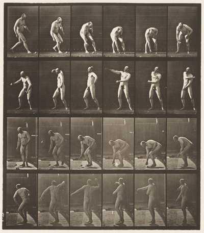 Placa 302. Recogiendo una pelota y lanzándola de Eadweard Muybridge