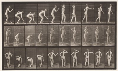 Placa 304. Recogiendo una pelota y lanzándola de Eadweard Muybridge