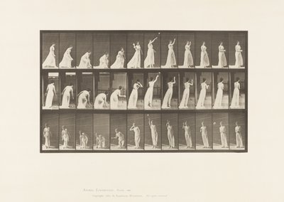 Placa 305. Recogiendo una pelota y lanzándola, 1885 de Eadweard Muybridge