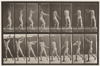 Placa 309. Lanzando el martillo de Eadweard Muybridge