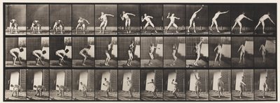 Placa 310. Lanzamiento de peso, 1885 de Eadweard Muybridge