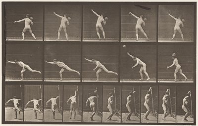 Placa 313. Levantando una roca de 20 libras de Eadweard Muybridge