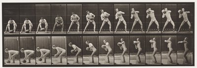 Placa 318. Levantando una roca de 75 libras, 1872-1885 de Eadweard Muybridge