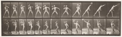 Placa 319. Levantando una Roca de 75 lb de Eadweard Muybridge