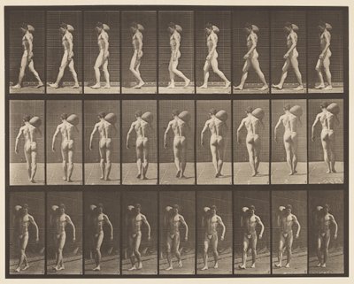 Placa 31. Caminando, Llevando una Piedra de 75 lb en el Hombro Derecho de Eadweard Muybridge