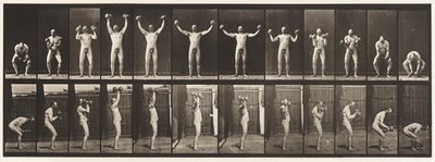 Placa 325. Levantando y Sosteniendo Dos Pesas de 50 lb, 1885 de Eadweard Muybridge