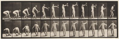 Placa 326. Levantando una pesa de 50 libras a la altura del brazo de Eadweard Muybridge