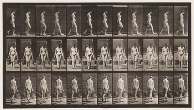 Placa 32. Caminando, Llevando un Cubo de Agua en Cada Mano de Eadweard Muybridge
