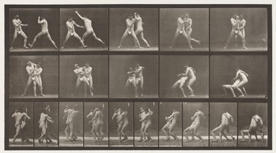 Placa 331. Boxeo; parada para cruzar los brazos de Eadweard Muybridge