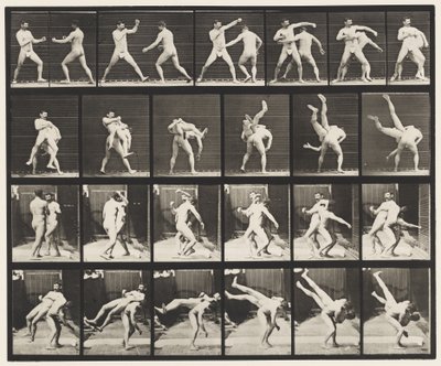 Placa 332. Boxeo; Cross-Buttocks de Eadweard Muybridge