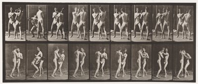 Placa 337. Boxeo; mano abierta de Eadweard Muybridge