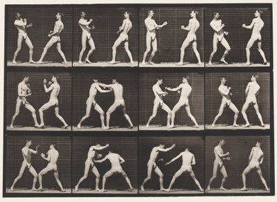 Placa 338. Boxeo; Mano abierta (zapatos) de Eadweard Muybridge