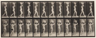 Placa 33. Caminando, cesta de 14 libras en la cabeza, manos levantadas de Eadweard Muybridge