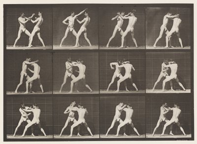 Placa 340. Boxeo; mano abierta de Eadweard Muybridge