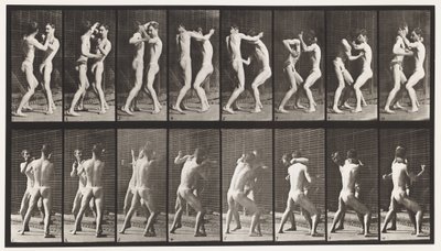 Placa 341. Boxeo; Mano Abierta de Eadweard Muybridge
